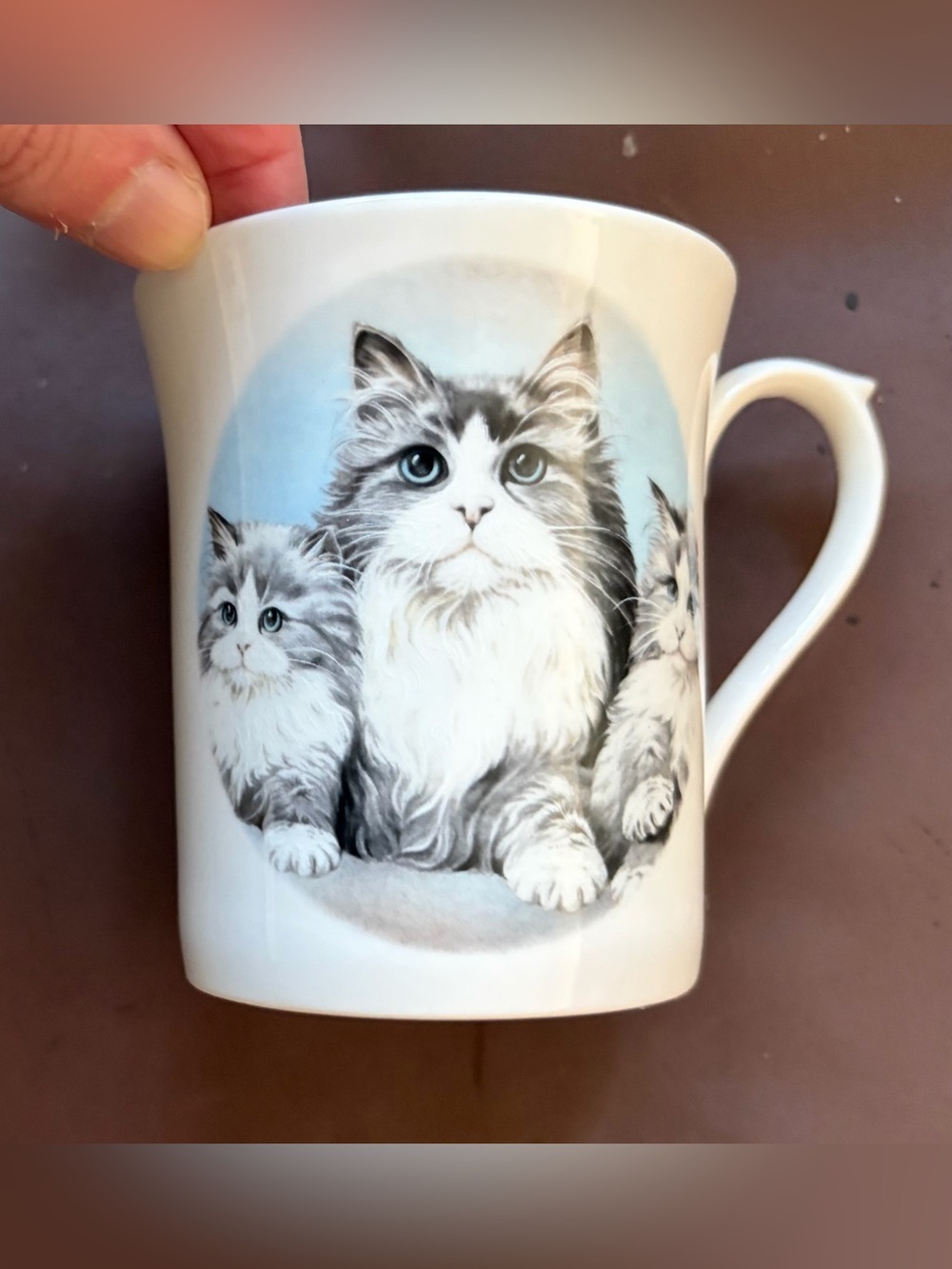 Vintage Royal Stuart Cat Kitten Mug Fine Bone China Made in England